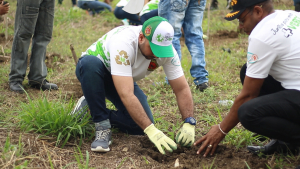 Juntos por un mundo más verde